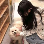 代号烬手游下载